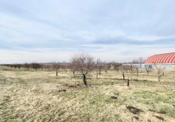 Pozemek na prodej, Lužice