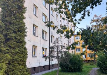 Komerční nemovitost k pronájmu, Karviná / Fryštát