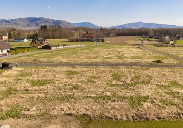 Stavební pozemek na prodej, Horní Domaslavice