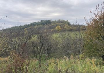 Pozemek na prodej, Koryčany / Blišice