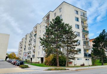 Byt 1+1 k pronájmu, Pardubice / Studánka, ulice Erno Košťála