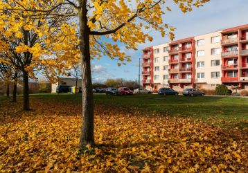 Byt 3+1 na prodej, Ivančice / Polní