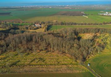Stavební pozemek na prodej, Chrudim / Topol