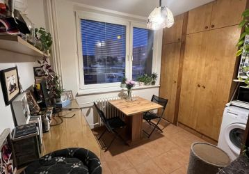 Byt 1+1 k pronájmu, Brno / Královo Pole, ulice Palackého třída