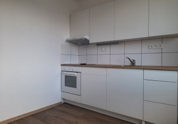 Byt 1+1 k pronájmu, Nové Město na Moravě / Budovatelů