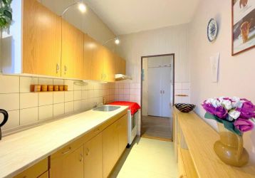 Byt 2+1 k pronájmu, Třebíč / Nové Dvory, ulice M. Majerové