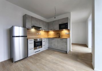 Byt 1+kk k pronájmu, Třešť / Wolkerova