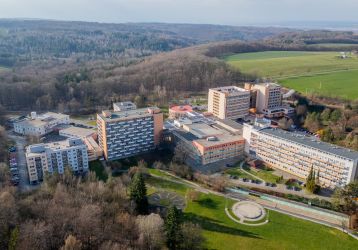 Byt 1+kk na prodej, Hrabyně