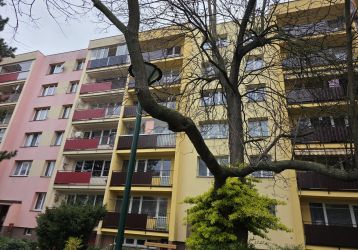 Byt 1+1 k pronájmu, Opava / Kylešovice, ulice 17. listopadu