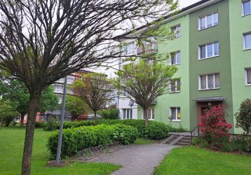 Byt 2+1 k pronájmu, Postřelmov / Nová