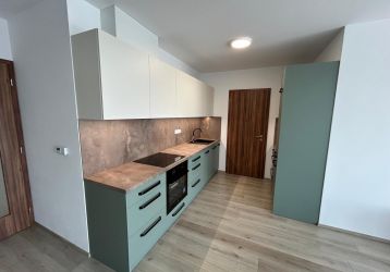 Byt 3+kk k pronájmu, Pardubice / Zelené Předměstí, ulice Pod Vinicí