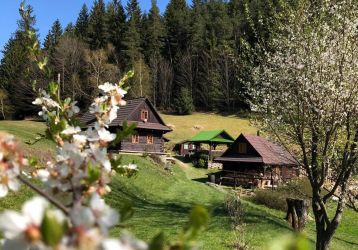 Rodinný dům na prodej, Hutisko-Solanec / Solanec pod Soláněm