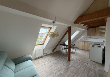 Byt 1+kk k pronájmu, Opava / Předměstí, ulice Englišova