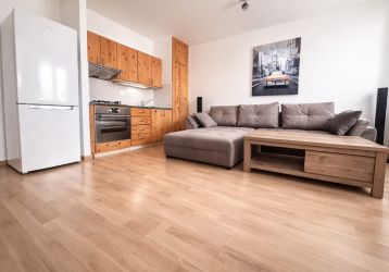 Byt 1+kk k pronájmu, Ostrava / Bělský Les, ulice Horní