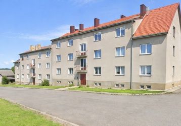 Byt 3+1 na prodej, Světlík