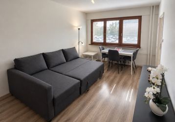 Byt 1+1 k pronájmu, Ostrava / Moravská Ostrava, ulice Petra Křičky
