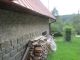 Rodinný dům, Lipová / Seč - fotografie č. 21