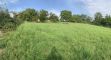 Stavební pozemek, Ludgeřovice - fotografie č. 6