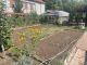 Chata / chalupa, Hradec Králové / Pražské Předměstí - fotografie č. 6