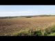 Zemědělský pozemek, Plumlov / Hamry - fotografie č. 2