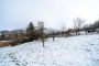 Stavební pozemek, Starý Jičín / Vlčnov - fotografie č. 10