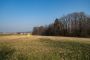 Stavební pozemek, Vojkovice - fotografie č. 10