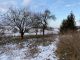 Stavební pozemek, Tršice / Lipňany - fotografie č. 6