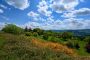 Rodinný dům, Žítková - fotografie č. 58