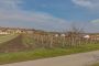 Pozemek pro komerci, Bořetice - fotografie č. 10