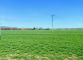 Stavební pozemek, Opava / Předměstí - fotografie č. 3