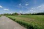 Zemědělský pozemek, Horní Domaslavice - fotografie č. 3