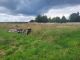 Stavební pozemek, Hlučín - fotografie č. 4
