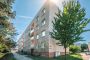 Byt 3+1, Hradec Králové / Nový Hradec Králové - fotografie č. 15