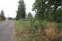 Stavební pozemek, Šenov - fotografie č. 6