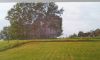 Stavební pozemek, Olbramice - fotografie č. 3