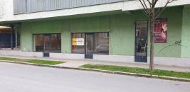 Komerční nemovitost k pronájmu, Opava / Předměstí