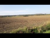 Zemědělský pozemek na prodej, Plumlov / Hamry