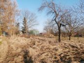 Stavební pozemek na prodej, Tršice / Lipňany