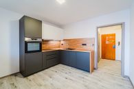 Byt 1+1 k pronájmu, Opava / Kateřinky, ulice Holasická