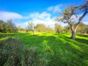 Zahrada na prodej, Osek nad Bečvou