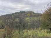 Pozemek na prodej, Koryčany / Blišice