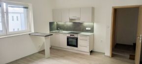 Byt 1+kk k pronájmu, Petřvald / Ráčkova