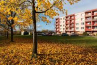 Byt 3+1 na prodej, Ivančice / Polní