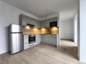 Byt 1+kk k pronájmu, Třešť / Wolkerova