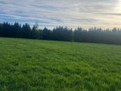 Pozemek na prodej, Raškovice