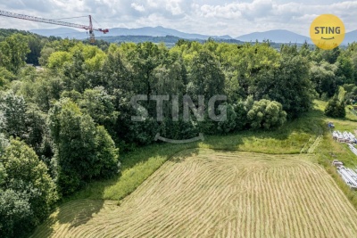 Pozemek, Staré Město - fotografie č. 1