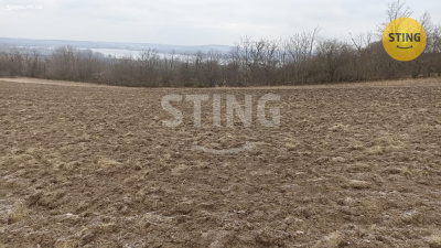 Pozemek, Sedlec - fotografie č. 1