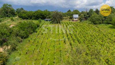 Stavební pozemek, Dolní Kounice - fotografie č. 1
