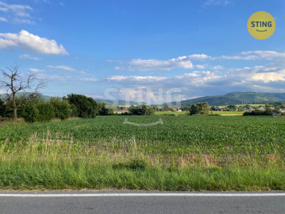 Stavební pozemek, Návsí - fotografie č. 1