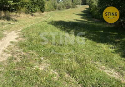 Pozemek, Pavlov - fotografie č. 1